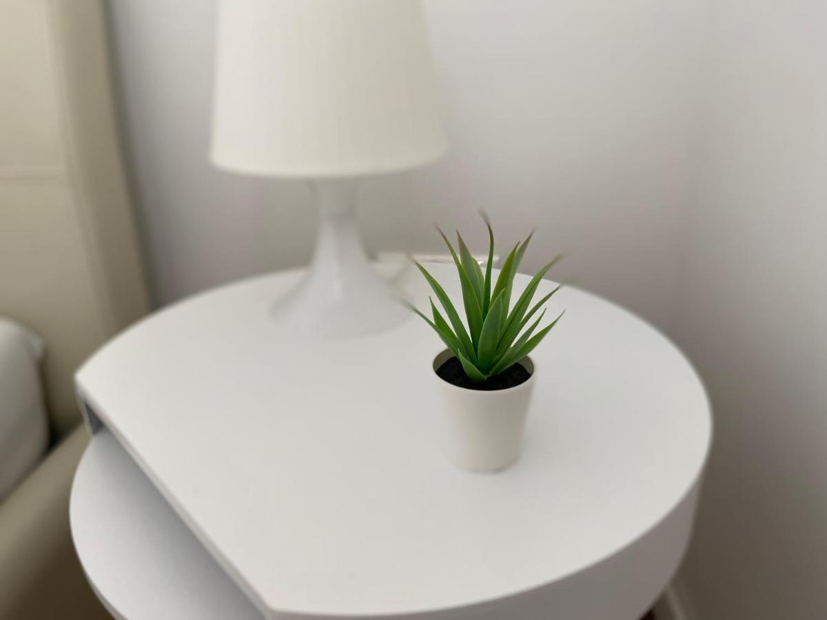 Private Pool And Mediterranean Garden Apt Mia Šilo 外观 照片